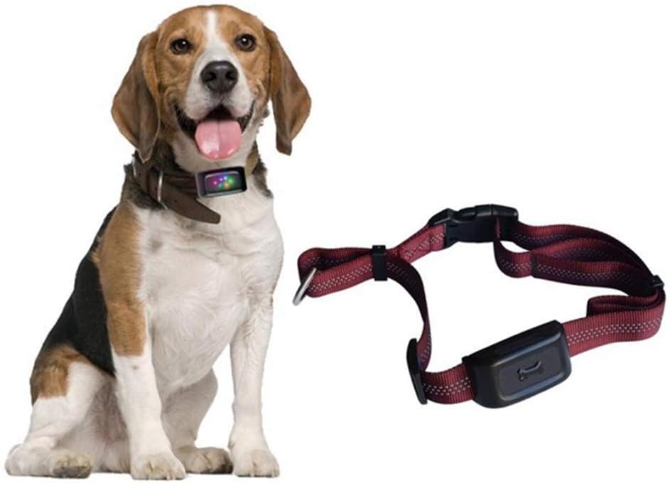 inseguitori per piccoli animali domestici