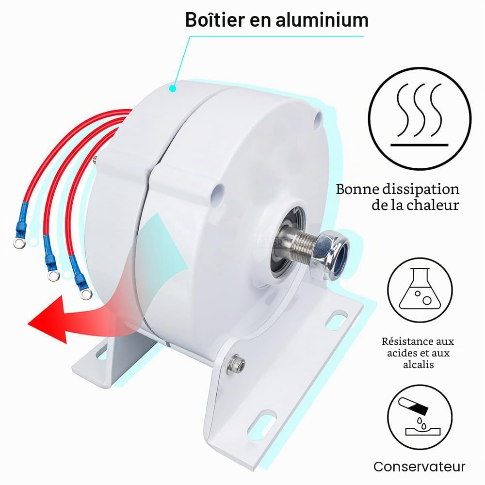 Générateur magnétique permanent 600 W 12 V, 24 V, 48 V, 750 tr/m, 3 phases, sans engrenage, générateur de courant alternatif, terre rare NdFeB, moteur électrique, éolienne, avec redresseur
