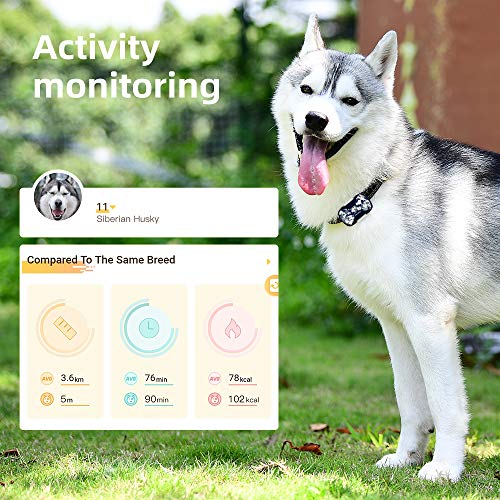 PETBIZ G20 GPS Pet Tracker, 30 Days Battery Life, IPX7 Waterproof GPS Tracker for Cat and Dogs (Ice camo)