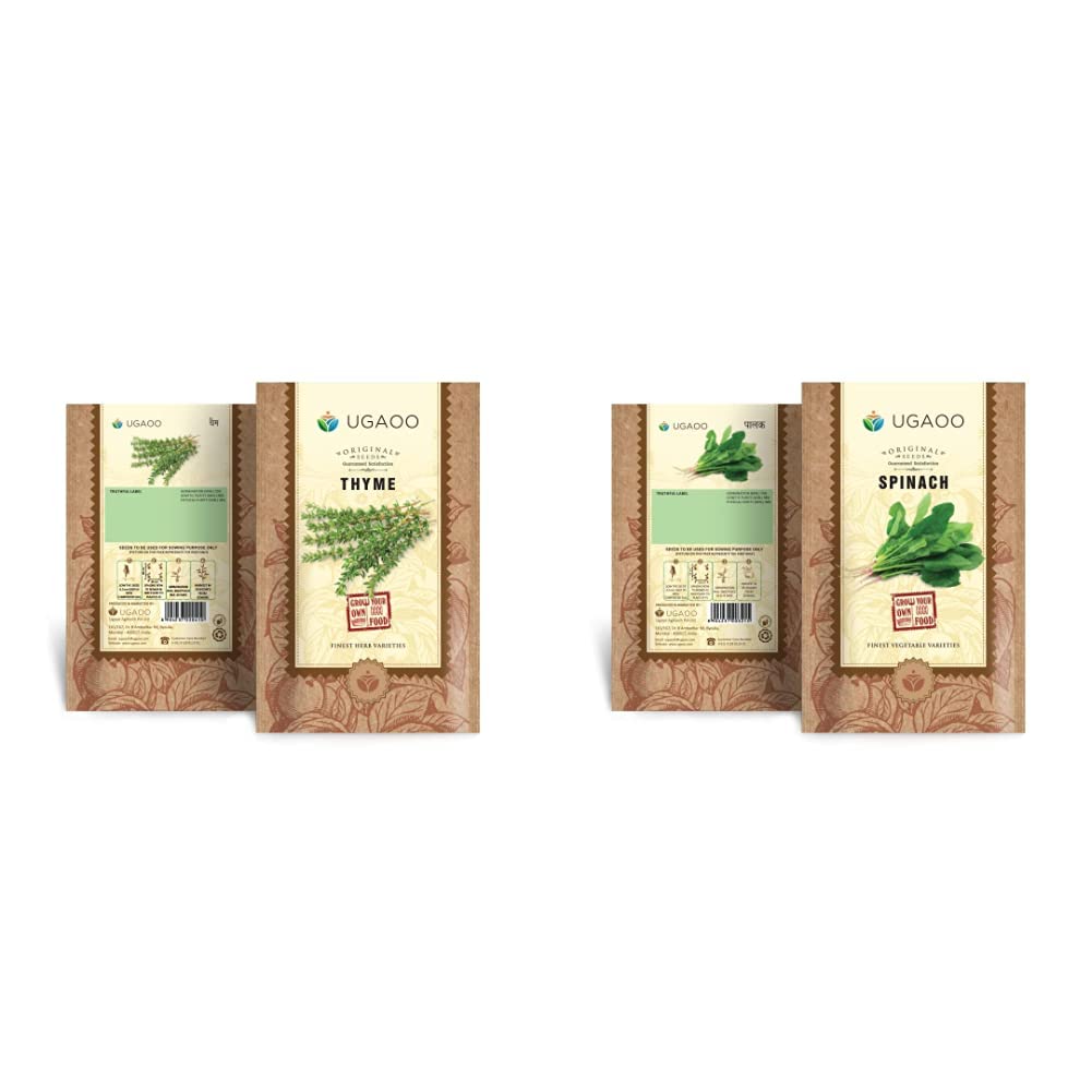 UGAOO Thyme Herb Seeds (Green, Pack of 800) & Palak or Spinach Vegetable Seeds (Green, Pack of 16 g) -1700 Seeds (B0BB6DTXLT) Amazon Price History, Amazon Price Tracker