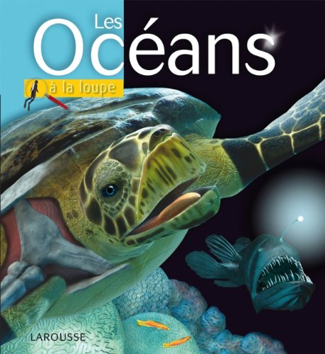Télécharger Les Océans livre En ligne