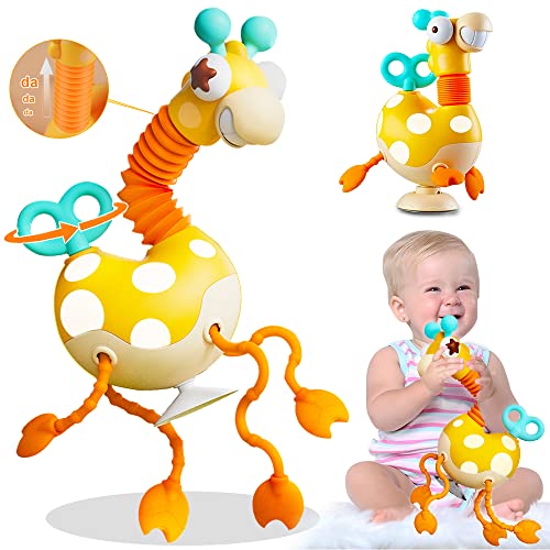 Amazon Best Sellers Best Push & Pull Baby Toys