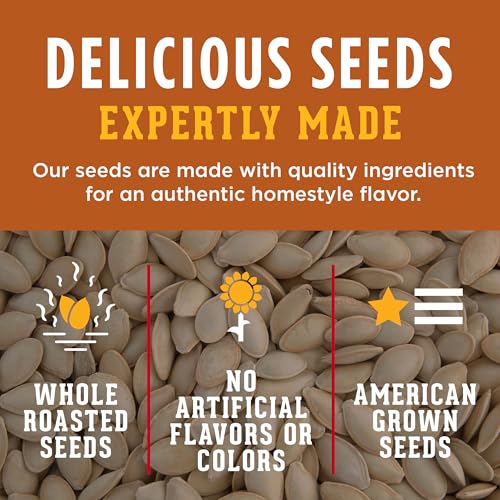 DAVID Roasted and Salted All Natural Pumpkin Seeds, 2.25oz.