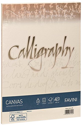 Favini A57Q414 Calligraphy Canvas Ruvido, 25 Pezzi...