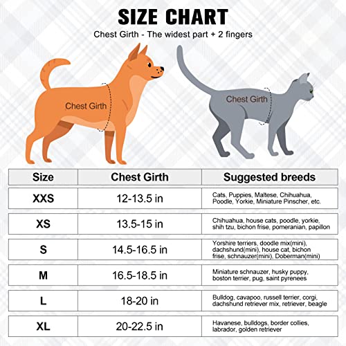 Beautyzoo Dog Harness And Leash Set For Small Dogs, No Pull Step-In Harness For Puppy Medium Dogs And Cats, Air Mesh Adjustable Breathable Soft No Chock Escape Proof Harness For Cat Boys And Girl #TOP3