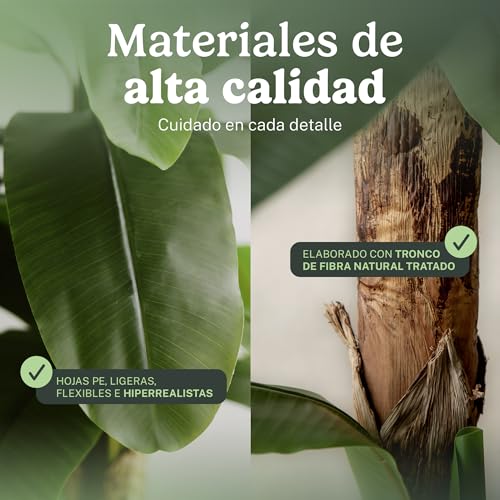 Miniatura 6 de Maia Shop Platanera Artificial 180 Cm Con Tronco Natural Planta Artificial Realista, Árbol Decorativo Tropical Para Hogar, Oficinas Y Espacios Comerciales