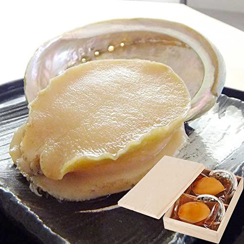 Ar̎p 70g×2Zbg ˔蕗C~ kt   CJOY v[g 蕨