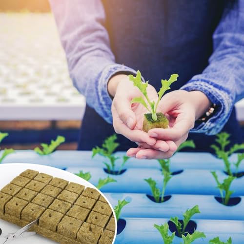 RUCUDIM 28 Stück Steinwolle Würfel, Steinwolle Set, Steinwolle Grow Anzucht Anzuchtmatte, Bodenlos Hydrokultur Anzuchtmatte, Rockwool Cube, Steinwollwürfel für Stecklinge, Klonen, Anzucht 4 * 4 * 4cm