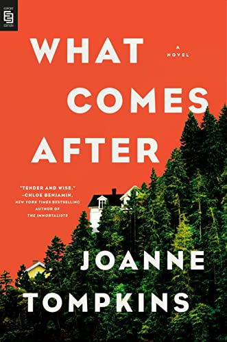 What Comes After - Joanne Tompkins Kartoniert (TB)