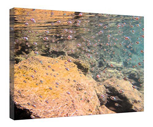 Impression sur toile poisson moderne tableau encadré bois pour décoration murale