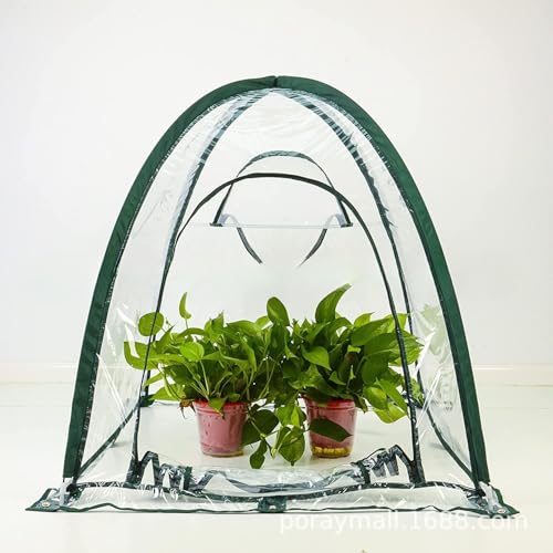 ビニールハウス 小型 ポップアップ植物温室 折り畳み式 収納便利 ビニール温室 PVCカバー 折りたたみ防水 保温 防寒 防風 虫よけ 防湿 防塵 害虫退治 簡易温室 花園温室 家庭用 室内栽培花栽培 (92x92x100cm)
