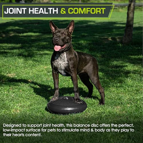 Image of ProsourceFit Core Balance Disc Trainer, 14 inch Diameter with Pump for Fitness, Balance Training, or Seating; Wobble Board for Core Stability; Flexible Floor Cushions
