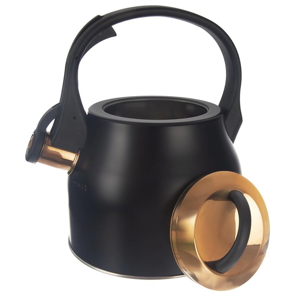 orion group Hervidor de agua color negro
