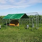 Il Verde Mondo