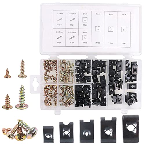 Kit de surtido de tuercas y tornillos para coche, 170 unidades, para interior del panel de la puerta del salpicadero, SAE
