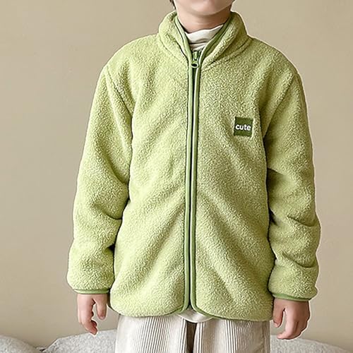 2024 Winter Fleece Jacket Coat Boys Girls Fall And Winter New Pellet Cardigan Stand Up Collar Jacket Christmas Coat4