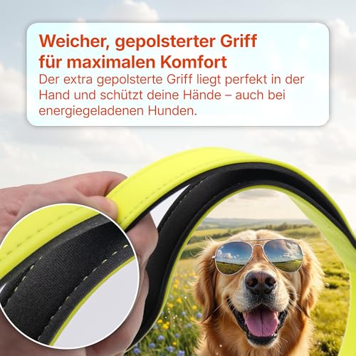 Miauff Schleppleine für Hunde, Gummiert & Wasserdicht, Robuste Trainingsleine mit Handschlaufe & Karabiner für Große bis Kleine Hunde (schwarz, 3m)
