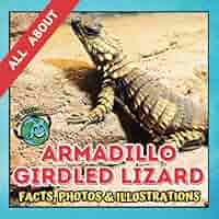 All about Armadillo Girdled Lizard | Facts, Photos and