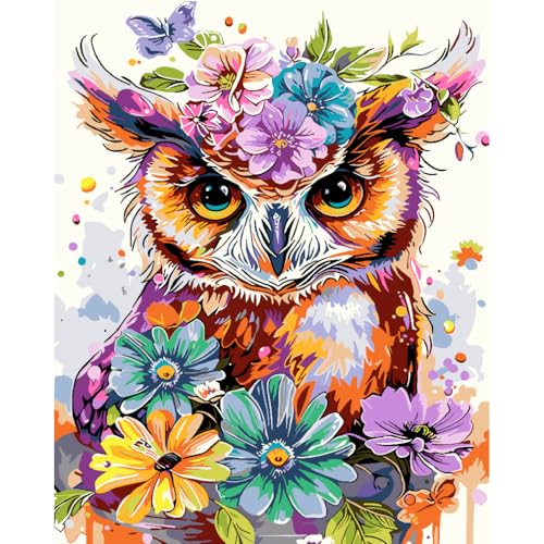 AALBLAC Owl Paint by Numbers Kit for Adults Beginners, Owl Flowers Adult Paint by Number Kits on Canvas, DIY Acrylic Easy Watercolor Oil Paint by Number for Adults for Gift Home Decor 16x20 Inch