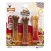 Nylabone original bone power chew toy for dogs durable dog toys for aggressive chewers flavor frenzy pancakes sausage roast beef lasagna x small up to 15 lbs 3 pack  urban country home decor