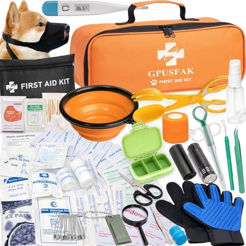 Dog First Aid Kit for Hiking: Essential Items for Safety