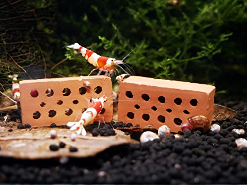 GARNELEN4YOU® Mini Ziegel | Premium Garnelen-Ziegel für Aquarien | Made in Germany | plastikfreie Verpackung | Miniatur Backstein Ziegelstein (10 Mini-Ziegel)