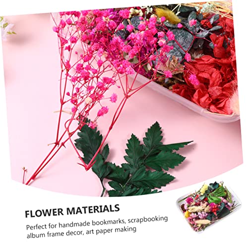 Flores secas artesanales para manualidades DIY miniatura 6