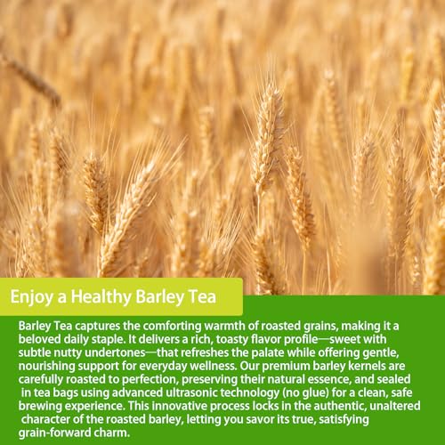 Samcci - Barley Tea, 4g×50 Count Premium Natural Roasted Barley Tea Bags - Non-GMO - Caffeine-Free - Sugar Free - Mugicha -Nutty - Digestion Support & Rich in Nutrition