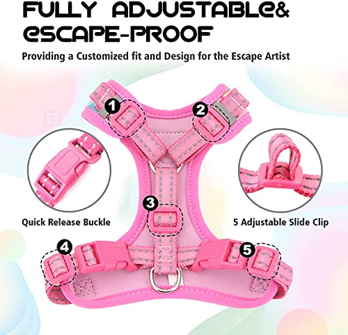 Supet Harnais et Laisse pour Chat - Anti-Fuite - Réglable avec Bandes réfléchissantes - Laisse et Harnais universels pour Chat/Chiot - Gris - S - Image 4