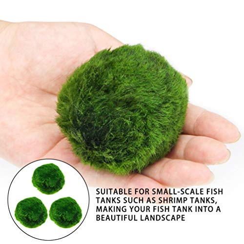 ULTECHNOVO 3 Pcs Marimo Musgo Bolas Algas Verdes Planta AquÃ¡tica AquÃ¡rio Peixes Tanque de CamarÃ£o