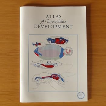 Paperback Atlas of Drosophila Development Book