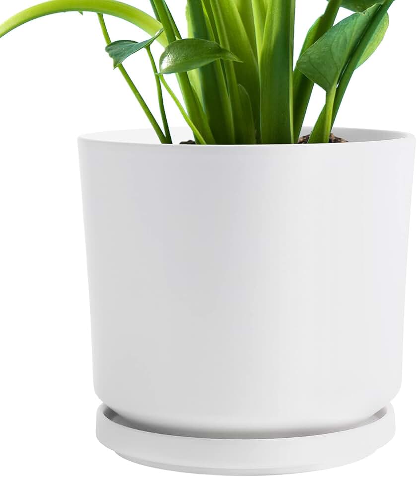 2 gallon pots for plants