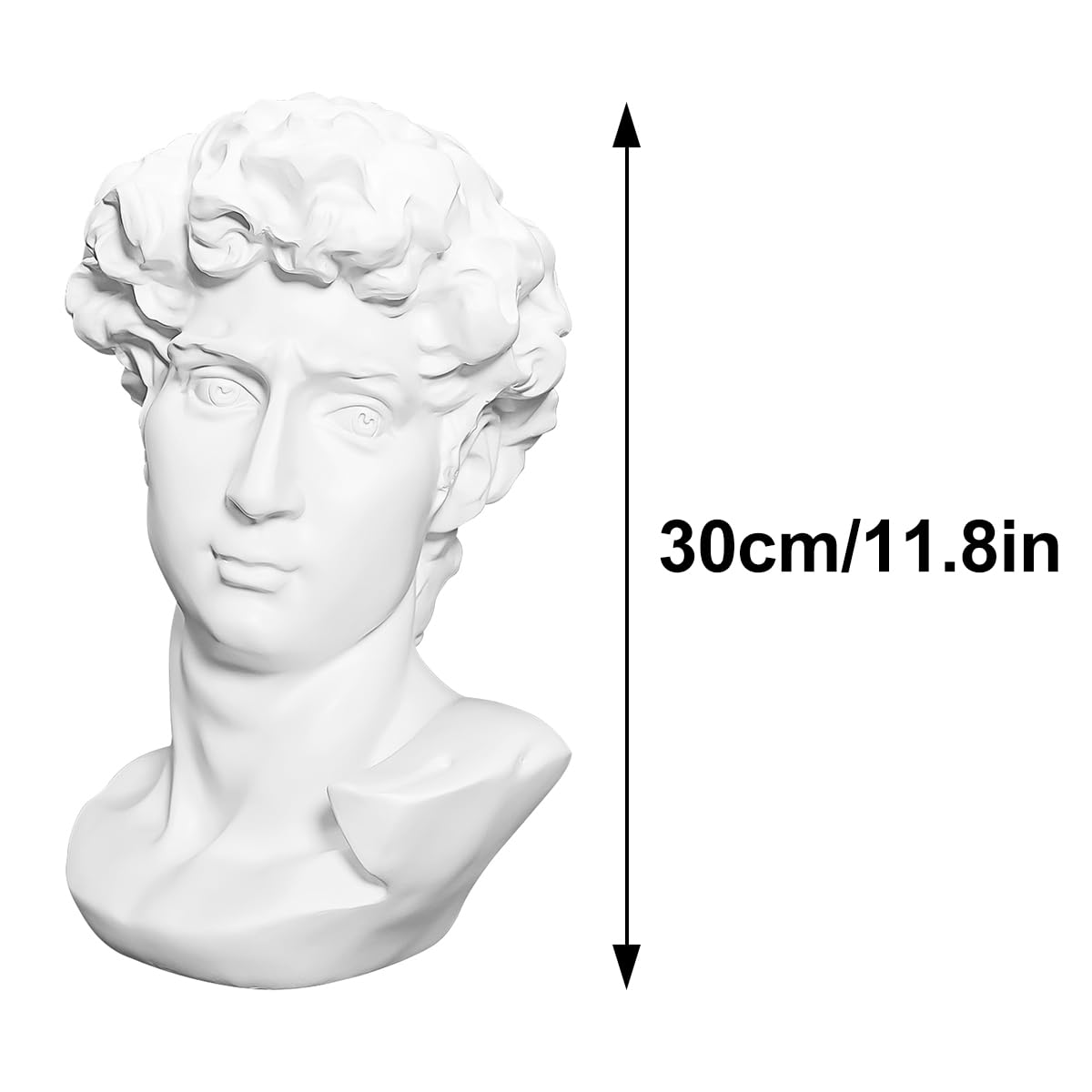 Amazon.co.jp: lkxharyelaクラシック樹脂バストDavid Venusアポロ 