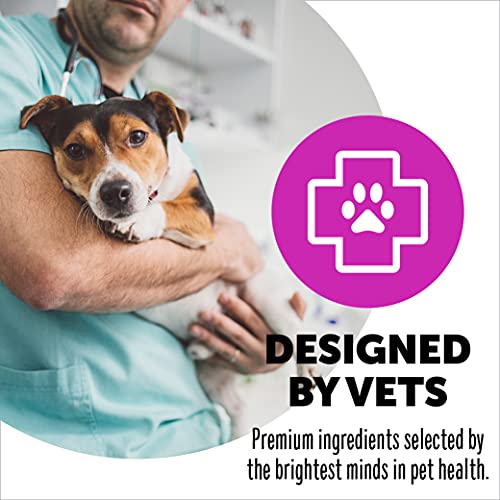 Smartypants Dog Vitamins And Supplements, Multivitamin With Glucosamine, Chondroitin, & Probiotics For Joint, Skin, & Gut Support, Peanut Butter Flavor, 60 Soft Chews By Smartypaws #TOP3