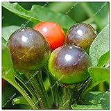 Cherry Pepper semi di ortaggi Casa Giardino Cile vegetali non OGM della decorazione del giardino della cucina condimento alimentare 200 pc 2