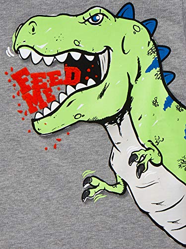 Garanimals Tyrannosaurus Toddler Boy Short Sleeve Graphic Tee T-Rex Feed Me Size 3-T Gray2