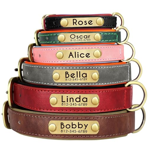 Hundehalsband aus Leder, mit tiefer Gravur, für kleine, mittelgroße und große Hunde und Katzen, personalisierbar