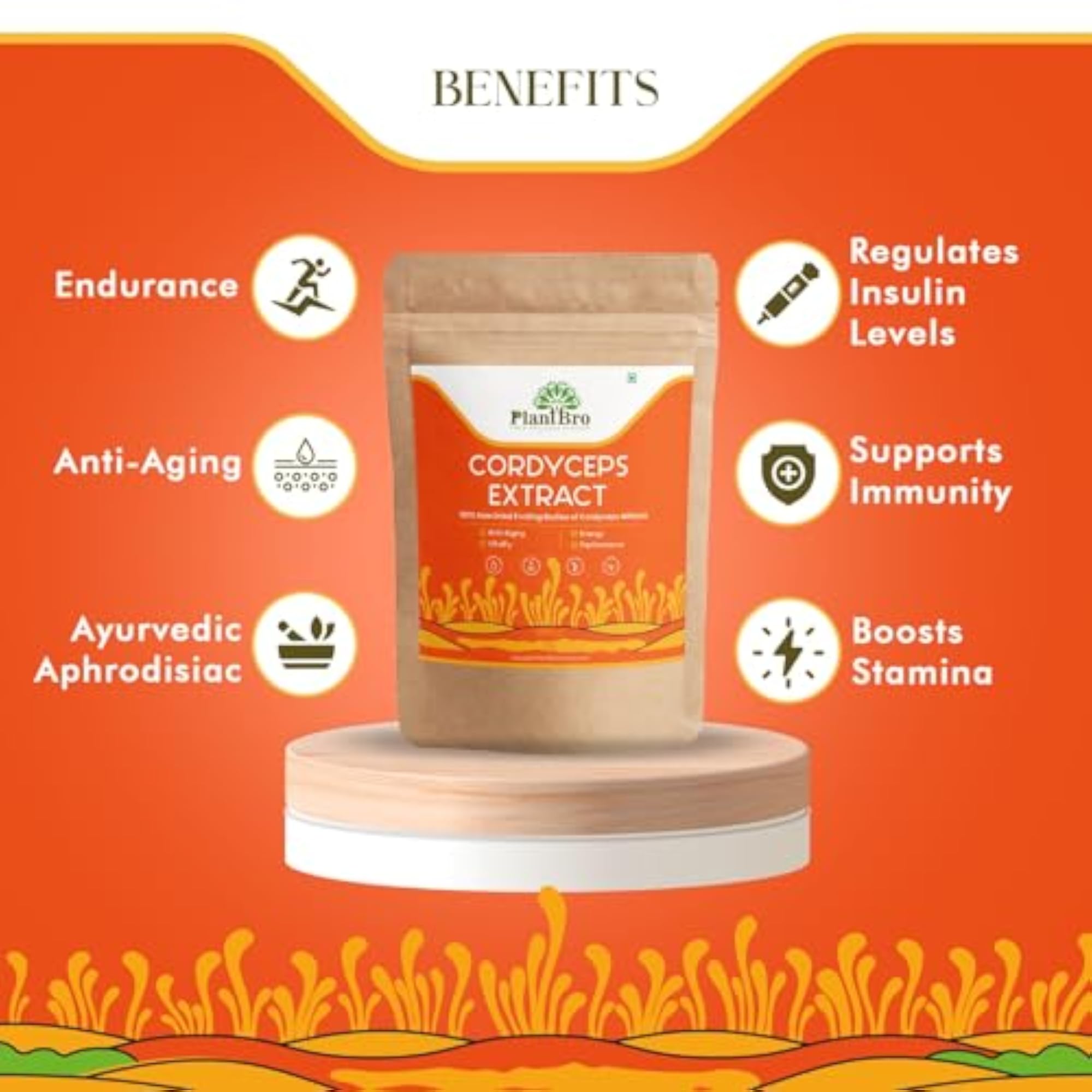 PlantBro Cordyceps Extract 25gm for Vitality