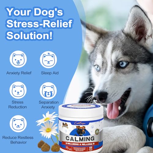 Dog Calming Chews, Dog Calming Treat, Natural Ingredients Calming Aid for Dogs, Perfect for Reducing Anxiety Caused by Separation, Barking,Vet Visits, Thunderstorms120 Count Lamb Flavor Dog Calming Chews, Dog Calming Treat, Natural Ingredients Calming Aid for Dogs, Perfect for Reducing Anxiety Caused by Separation, Barking,Vet Visits, Thunderstorms120 Count Lamb Flavor