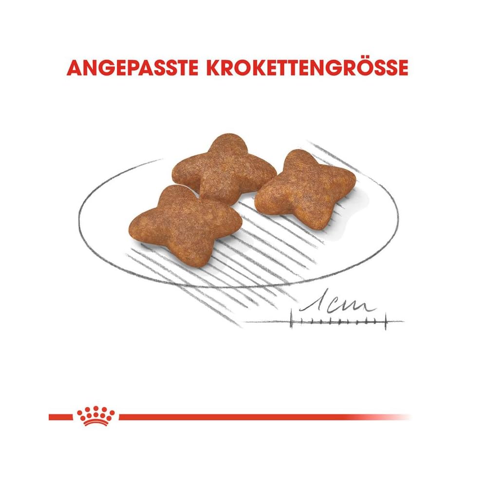 Royal Canin Mini Adult | 4 kg | Aliment Complet pour Chiens de Petites Races | Acides Gras oméga-3 pour la Peau et Le Pelage | Teneur énergétique adaptée et Taille de croquettes ajustée