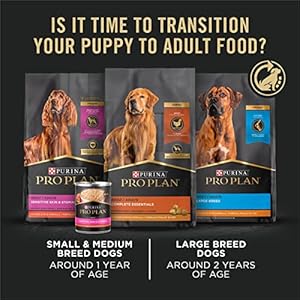   Purina-Pro-Plan-Large-Breed-Dry-Puppy-Food-Chicken-and-Rice-Formula-47-lb-Bag