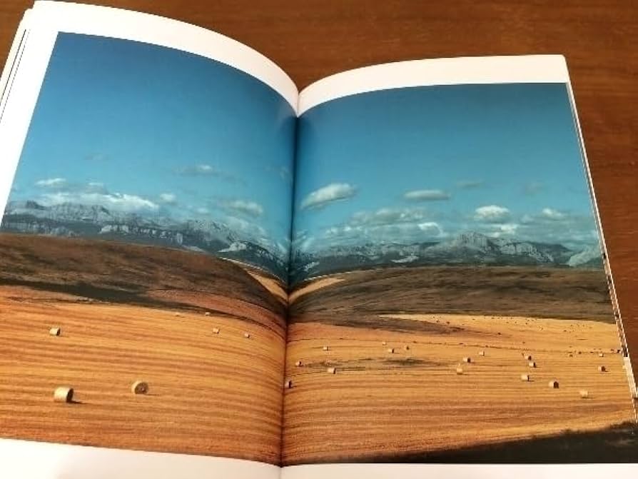 Amazon.co.jp: Wim Venders Photo Book, Art Book, Art Shincho