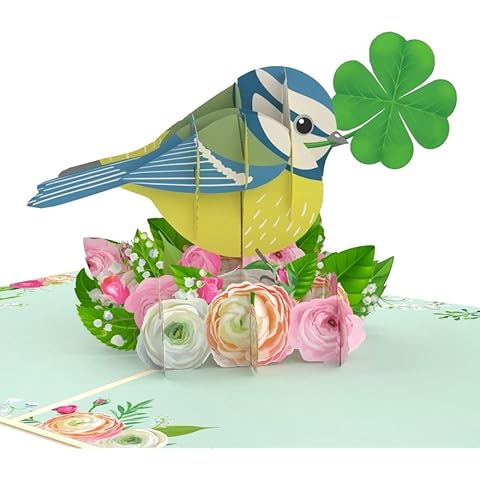 Carte Pop-Up MOKIO® Oiseau et Trèfle Cover