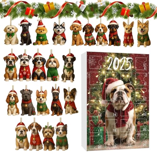 JEg_EJ_[ | 2DANhbOy_g | 24Ԃ̌̃NX}XI[ig | xAAhAAǁAp[eB[