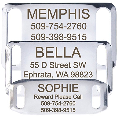 GoTags Pet ID Slide-On Personalized Dog Tags