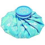 スケーター 氷のう アイスバッグ M 氷嚢 ひょうのう アナと雪の女王 2 ディズニー 直径21cm ICB2