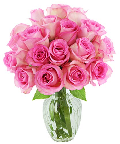 KaBloom PRIME NEXT DAY DELIVERY - Fall Collection - Bouquet of 18 Fresh Pink Roses with Vase Gift for Valentine.Gift for Birthday, Sympathy, Anniversary, Easter, Mother’s Day Fresh Flowers