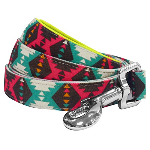 Blueberry Pet Lead with Soft & Comfortable Handle, 150 cm x 1.5cm Vintage Tribal Pattern Padded Dog Lead in Extravagant Green, Small