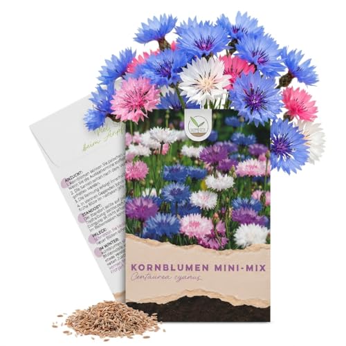Kornblumen Samen (Centaurea cyanus) - Wunderschön leuchtende Blumen mit langer Blütezeit kleinwüchsig - ideal für den Balkonkasten (Mini Mix 1000 Korn 50 cm)