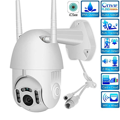 Preisvergleich Produktbild AINSS WiFi PTZ IP-Kuppelkamera / Außenüberwachung / 1080p / ptz / Infrarot-Nachtsicht / IP66 wasserdicht / Bewegungsmelder / Onvif / NVR / Sirene wifi1080P2A64GB